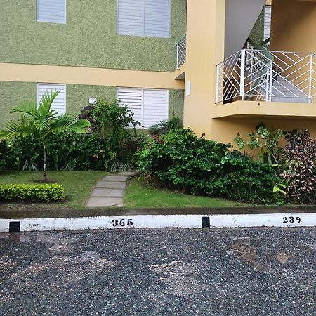 Chelsea Manor Apartment Kingston Exterior photo